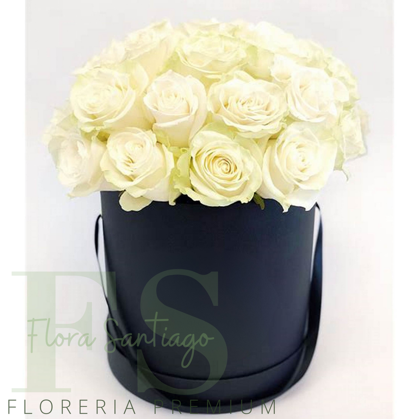 Box de 20 rosas blancas importadas