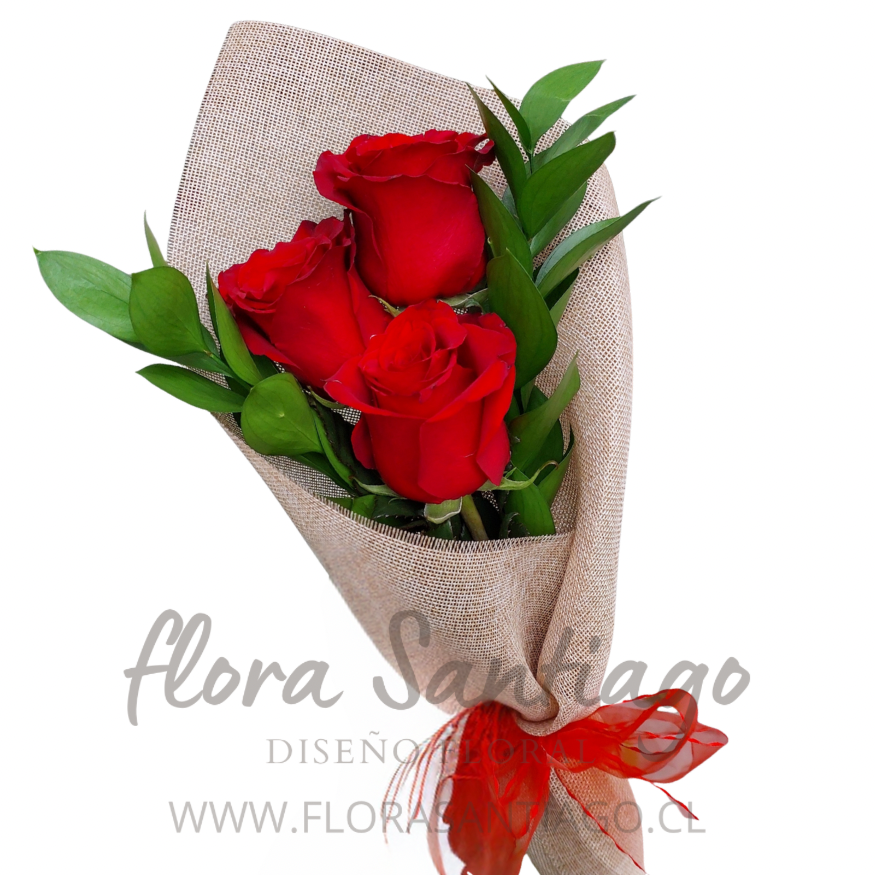 3 Rosas rojas envueltas para regalo