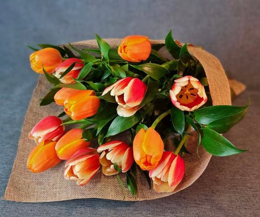 10 tulipanes envueltos para regalo